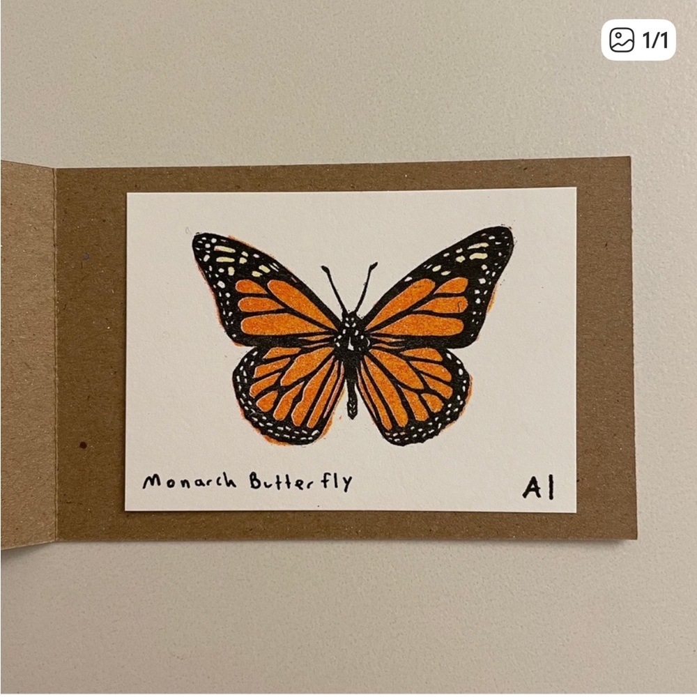 Inciardi print bundle